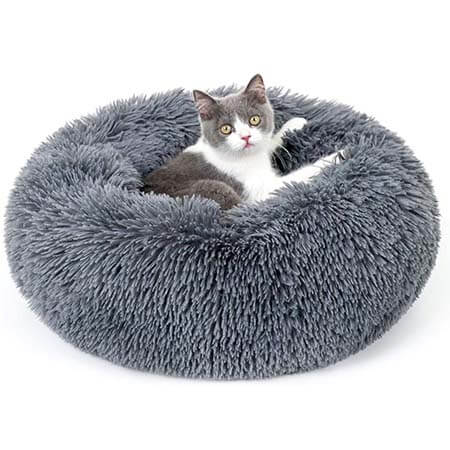 accessoires pour animaux